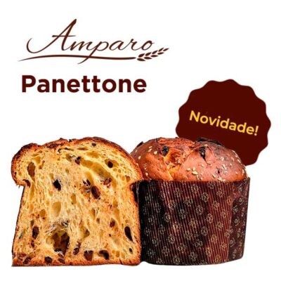 Amparo Panettone